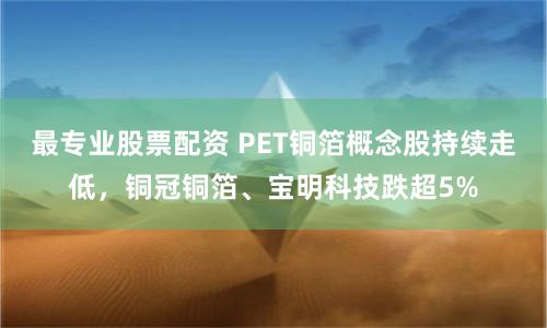 最专业股票配资 PET铜箔概念股持续走低，铜冠铜箔、宝明科技跌超5%
