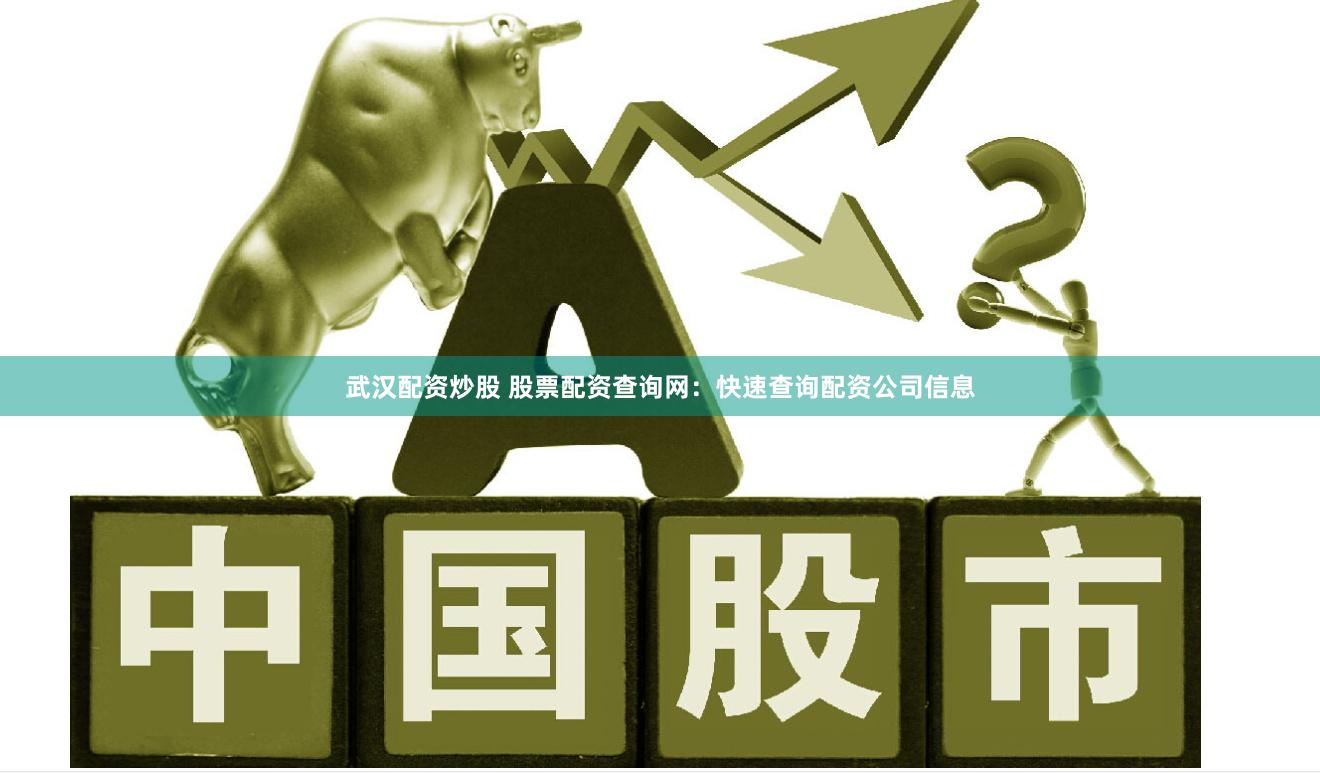 武汉配资炒股 股票配资查询网：快速查询配资公司信息